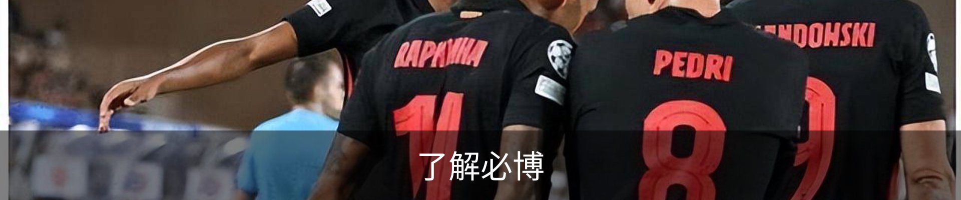 了解必博